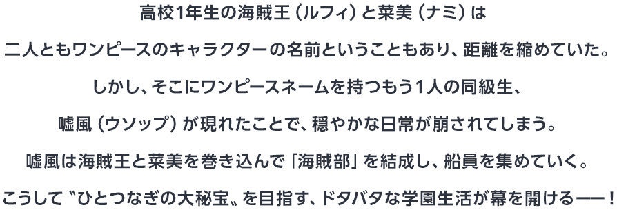 高校1年生の海賊王（ルフィ）と菜美（なみ）は二人ともワンピースのキャラクターの名前ということもあり、距離を縮めていた。しかし、そこにワンピースネームを持つもう１人の同級生、嘘風（ウソップ）が現れたことで、穏やかな日常が崩されてしまう。嘘風は海賊王と菜美を巻き込んで「海賊部」を結成し、船員を集めていく。こうして〝ひとつなぎの大秘宝〟を目指す、ドタバタな学園生活が幕を開けるーー！